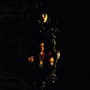 Blood Ceremony album Living With The Ancients