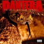 Pantera album The Great Southern Trendkill