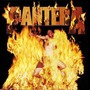 Pantera album Reinventing The Steel