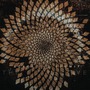 Scale The Summit album The Collective