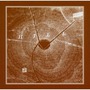 Andy Partridge & Harold Budd album Through The Hill