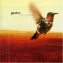 Guster album Keep It Together