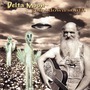 Delta Moon album Goin' Down South