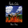 Paula Cole album This Fire