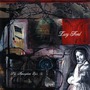 Atmosphere album Lucy Ford: The Atmosphere EP's