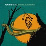 Guster album Ganging Up On The Sun