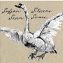 Sufjan Stevens album Seven Swans