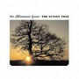 The Mountain Goats album The Sunset Tree