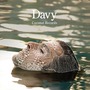Coconut Records album Davy