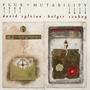 David Sylvian & Holger Czukay album Flux + Mutability