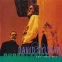David Sylvian & Robert Fripp album The First Day