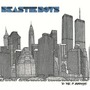 Beastie Boys album To The 5 Boroughs