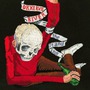 Okkervil River album The Stand Ins