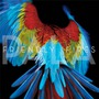 Friendly Fires album Pala