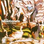 The Bluetones album Science & Nature