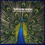 The Bluetones album Expecting To Fly