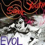 Sonic Youth album EVOL