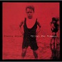 Cherry Ghost album Thirst For Romance