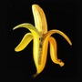 The Dandy Warhols album Welcome To The Monkey House