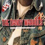 The Dandy Warhols album Thirteen Tales From Urban Bohemia