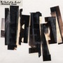 The Mountain Goats album We Shall All Be Healed