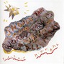 Peter Murphy album Should The World Fail To Fall Apart