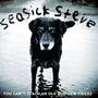 Seasick Steve album You Can't Teach An Old Dog New Tricks