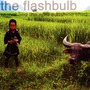 The Flashbulb album Resent And The April Sunshine Shed