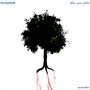 The Flashbulb album These Open Fields