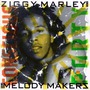 Ziggy Marley & The Melody Makers album Conscious Party