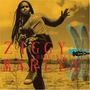 Ziggy Marley album Dragonfly