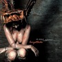 In Strict Confidence album Herzattacke
