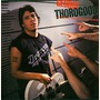 George Thorogood & The Destroyers album Born To Be Bad