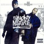 Naughty By Nature album IIcons