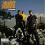 Naughty By Nature album Naughty By Nature