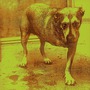 Alice In Chains album Alice In Chains