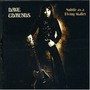 Dave Edmunds album Subtle As A Flying Mallet