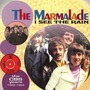 Marmalade album I See The Rain (The CBS Years)