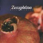 Zeraphine album Blind Camera