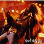 Ted Nugent album Spirit Of The Wild