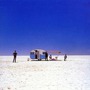 Cold Chisel album Circus Animals (Remastered)