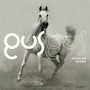 GusGus album Arabian Horse