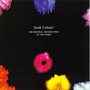 Orchestral Manoeuvres in the Dark album Junk Culture