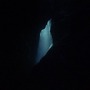 Balam Acab album Wander / Wonder