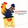 Adrian Belew album Belewprints