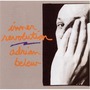 Adrian Belew album Inner Revolution
