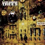 Screaming Trees album Sweet Oblivion
