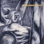 Screaming Trees album Dust