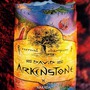 David Arkenstone album Eternal Champion
