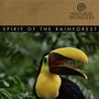 David Arkenstone album Spirit Of The Rainforest